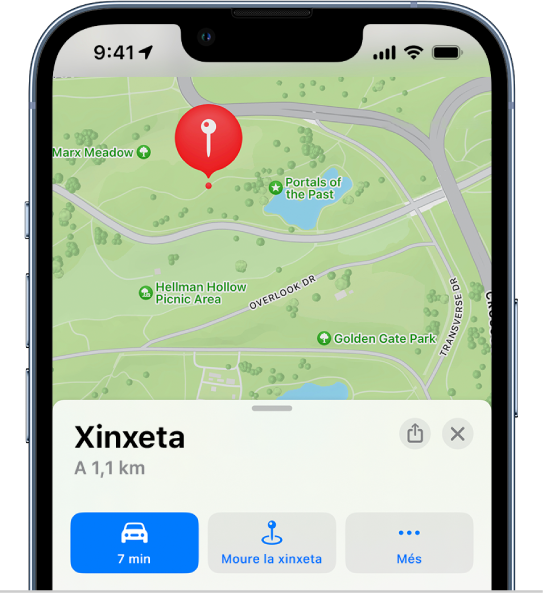 Mapa que mostra una xinxeta al sender d’un parc.