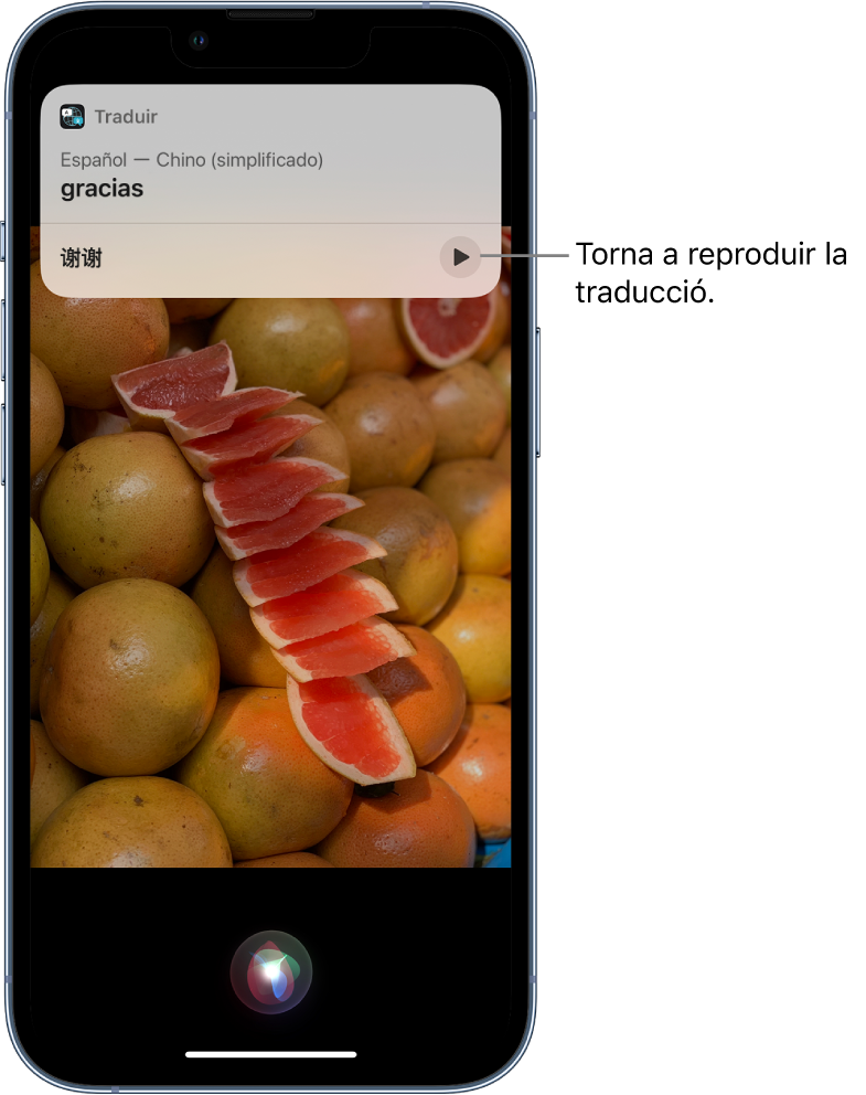 Siri mostra una traducció al xinès de la paraula “gracias”. Un botó que hi ha a la part inferior de la traducció reprodueix l’àudio de la traducció.
