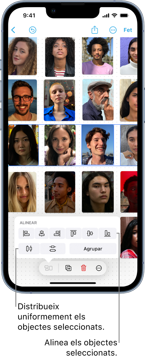 Pissarra de l’app Freeform amb una retícula de fotos. Una de les files de fotos està seleccionada i les eines d’alineació i agrupació són visibles.
