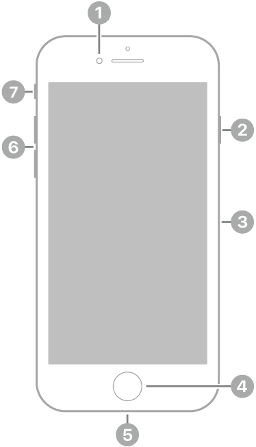 Anvers de l’iPhone 8. La càmera frontal és a la part superior, a l’esquerra de l’altaveu. Al costat dret, de dalt a baix, hi ha el botó lateral i la safata de la SIM. El botó d’inici és a la part inferior central. El connector Lightning és a la vora inferior. Al costat esquerre, de baix a dalt, hi ha els botons de volum i el selector de so/silenci.