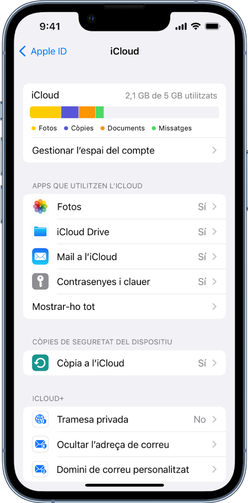 Pantalla de configuració de l’iCloud amb l’indicador d’emmagatzematge a l’iCloud i una llista d’apps i funcions, inclosos el Mail, l’app Contactes i l’app Missatges, que es poden utilitzar amb l’iCloud.