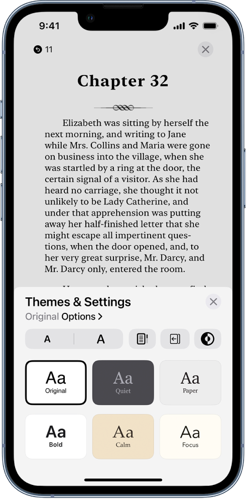 The Themes and Settings options showing controls for font size, scrolling view, page turn style, brightness, and font styles.