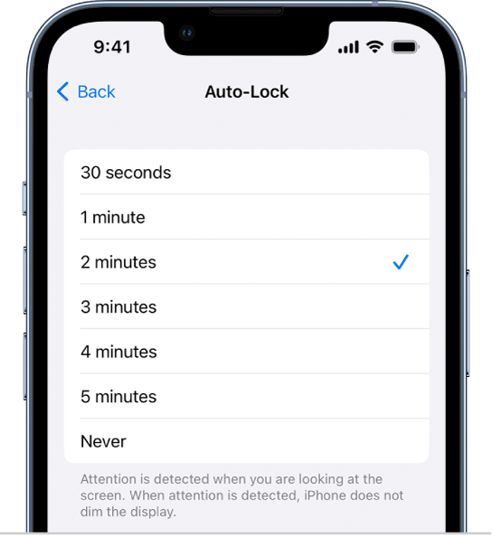 The Auto-Lock screen, with settings for the length of time before iPhone automatically locks.