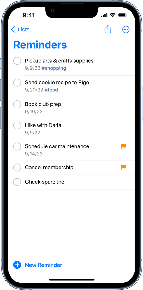  A Reminders screen showing a to-do list. The New Reminder button is at the bottom left.