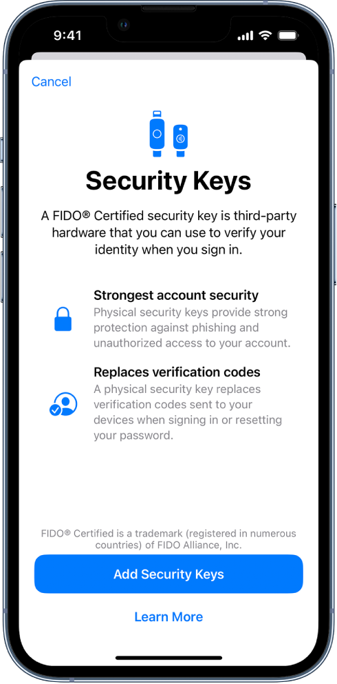 The Security Keys welcome screen. Near the bottom is the Add Security Keys button and a Learn More link. Above them is explanatory text about the benefits of using security keys.