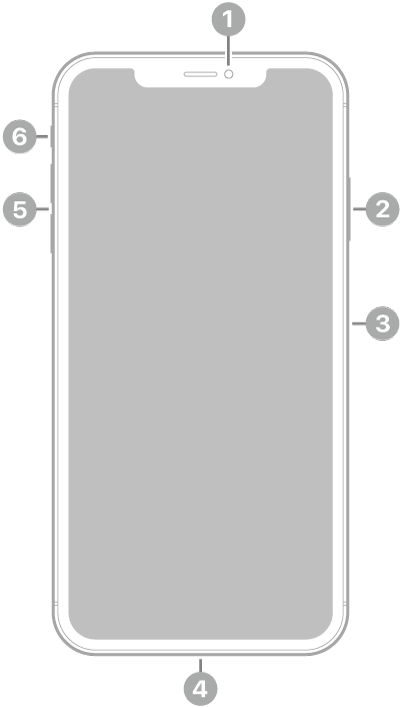 The front view of iPhone XS Max. The front camera is at the top center. On the right side, from top to bottom, are the side button and the SIM tray. The Lightning connector is on the bottom. On the left side, from bottom to top, are the volume buttons and the ring/silent switch.