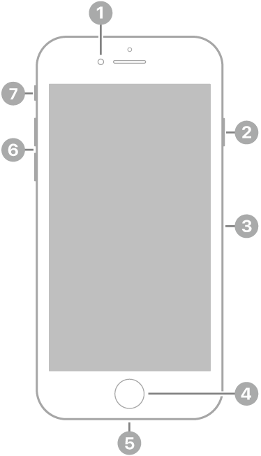 The front view of iPhone SE (2nd generation). The front camera is at the top, to the left of the speaker. On the right side, from top to bottom, are the side button and the SIM tray. The Home button is at the bottom center. The Lightning connector is on the bottom edge. On the left side, from bottom to top, are the volume buttons and the ring/silent switch.