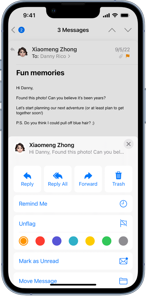 An email showing reply options in the bottom half of the screen. Below those options are the Remind Me button, the Unflag button, and color choices for flags.
