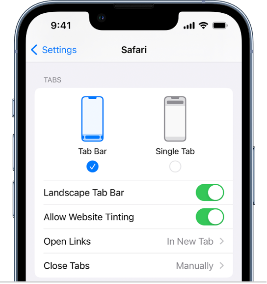 safari settings on iphone 11