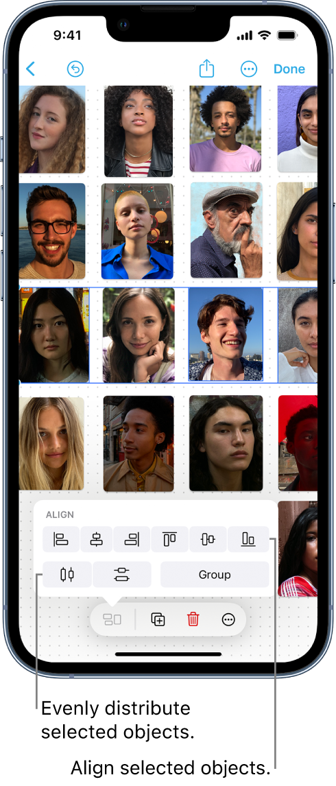 A Freeform board filled with a grid of photos. One row of photos is selected, and the alignment and grouping tools are visible.