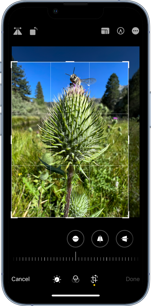 The crop and rotate screen.