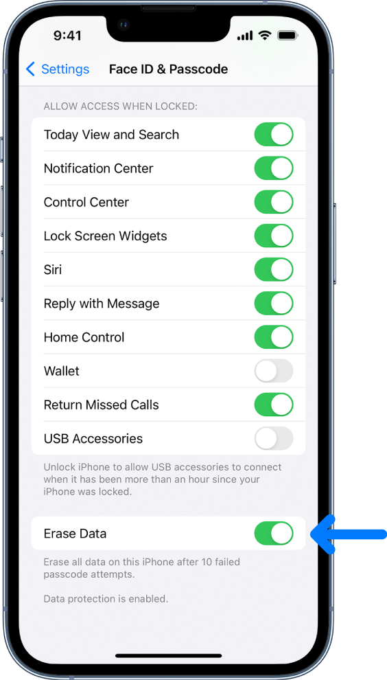 The Erase Data control, located at the bottom of the Face ID and Passcode screen in Settings.