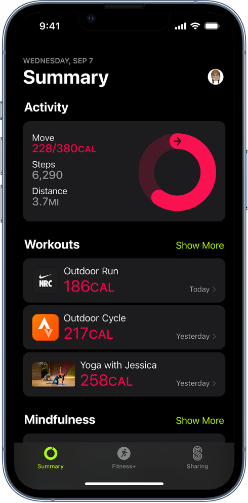 The Fitness Summary screen, showing the Activity, Workouts, and Mindfulness areas on the screen. The Summary, Apple Fitness+, and Sharing tabs are at the bottom of the screen.