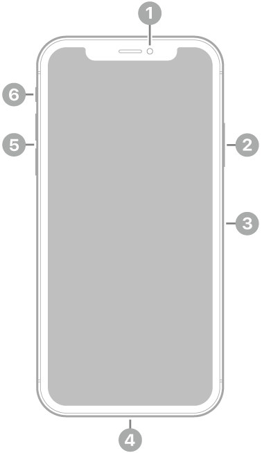 The front view of iPhone XS. The front camera is at the top center. On the right side, from top to bottom, are the side button and the SIM tray. The Lightning connector is on the bottom. On the left side, from bottom to top, are the volume buttons and the ring/silent switch.