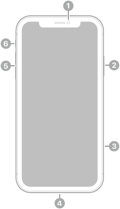 El frente del iPhone 11. La cámara frontal está en la parte superior central. En el lateral derecho, de arriba a abajo, se encuentran el botón lateral y la bandeja de la tarjeta SIM. El conector Lightning está en la parte inferior. En el lateral izquierdo, de abajo a arriba, se encuentran los botones de volumen y el interruptor de tono/silencio.