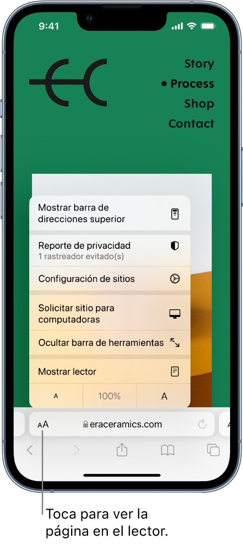 El menú Configuración de la página. En la parte inferior del menú está la opción Mostrar lector.