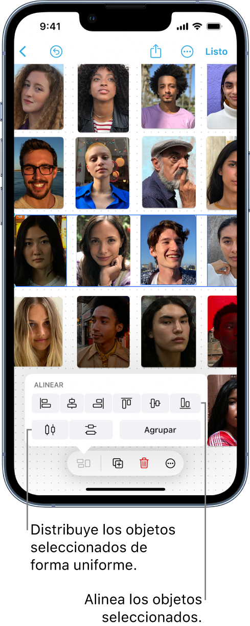 Pizarrón de Freeform con una cuadrícula de fotos. Una de las filas de fotos está seleccionada y las herramientas de alineación y agrupación están visibles.