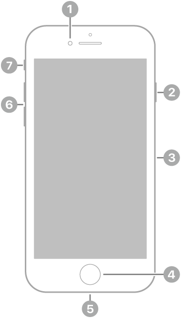 El frente del iPhone SE (tercera generación). La cámara frontal está en la parte superior, a la izquierda de la bocina. En el lateral derecho, de arriba a abajo, se encuentran el botón lateral y la bandeja de la tarjeta SIM. El botón de Inicio se sitúa en el centro inferior. El conector Lightning está en el borde inferior. En el lateral izquierdo, de abajo a arriba, se encuentran los botones de volumen y el interruptor de tono/silencio.