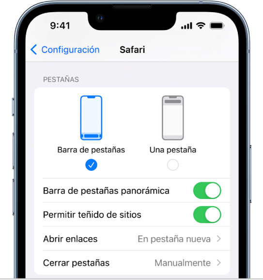 Una pantalla mostrando dos opciones de disposición de Safari: Barra de pestañas y Una pestaña.