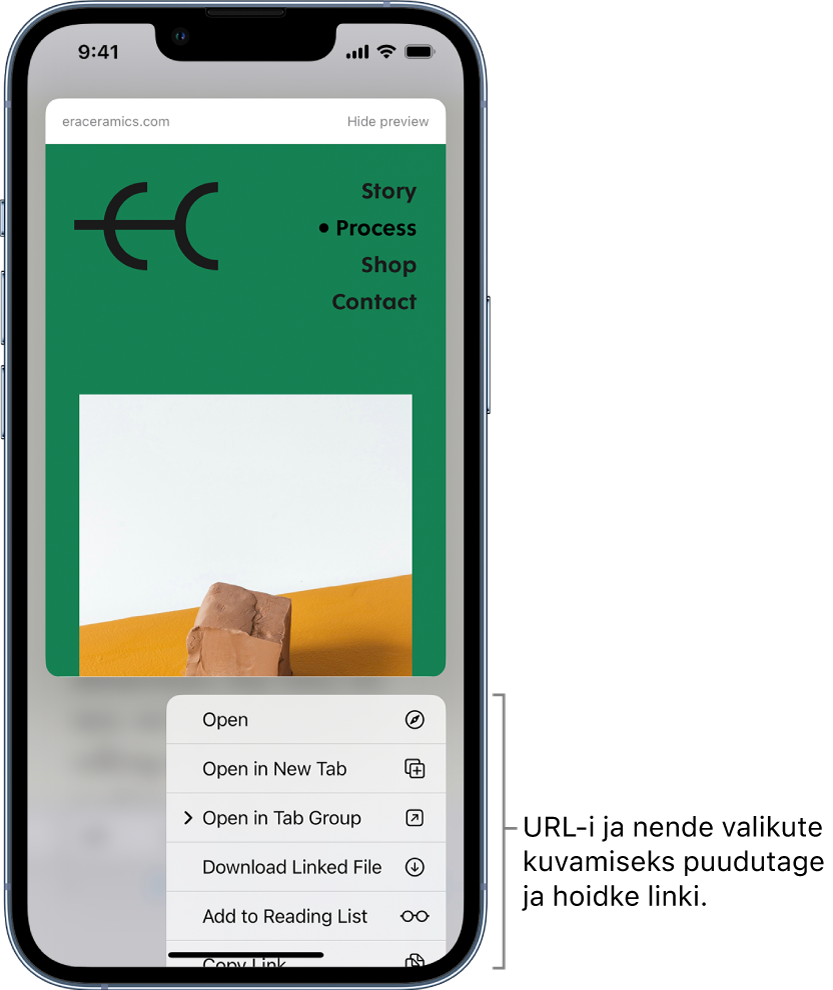 Sihtkoha URLi eelvaade, mille järel on loend võimalike toimingutega: Open, Open in New Tab, Open in Tab Group, Download Linked File, Add to Reading List ja Copy Link.
