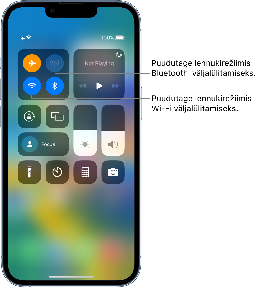 Control Center, kus on lennukirežiim lülitatud sisse. Juhikute ülemises vasakus grupis on nupp Wi-Fi (all vasakul) ja nupp Bluetooth (all paremal).