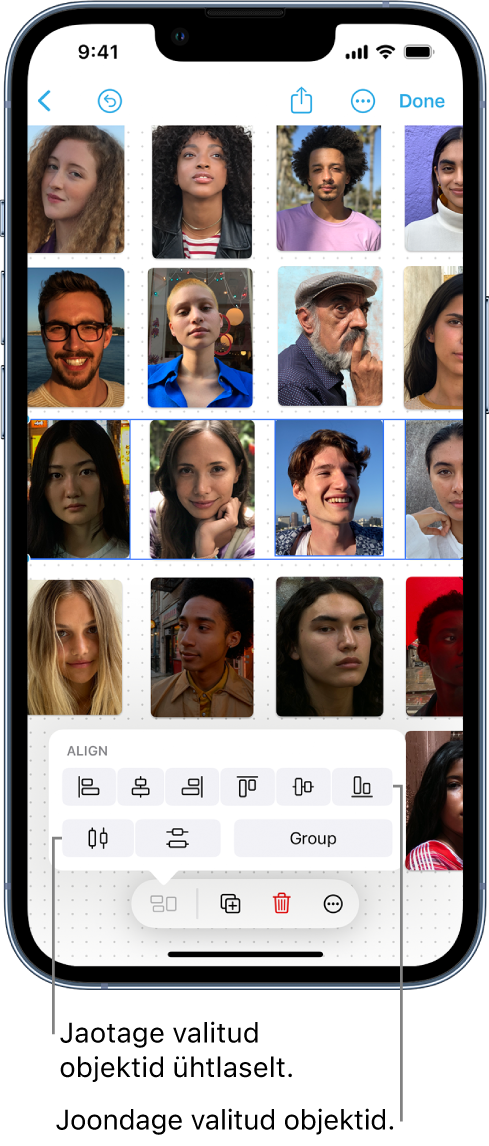 Freeformi tahvlil on fotode võrgustik. Üks fotode riida on valitud ning kuvatakse joondamise ja grupeerimise tööriistu.