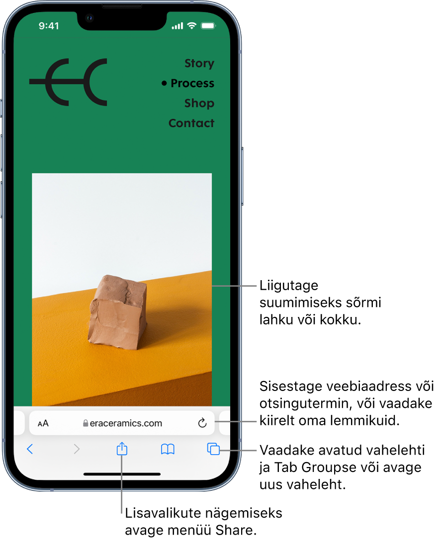 Safaris avatud veebisait, aadressiväljaga allosas. All asuvad (vasakult paremale) nupud Back, Forward, Share, Bookmarks ja Tabs.
