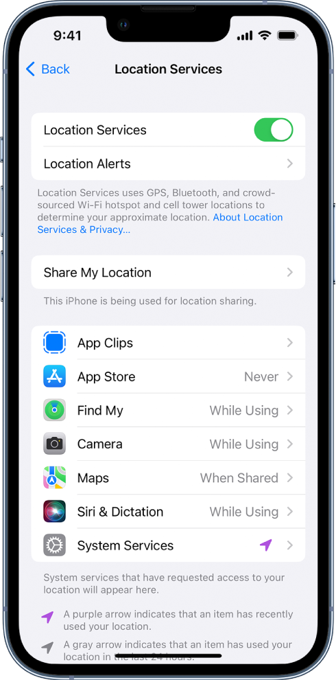 Kuva Location Services koos seadetega iPhone'i asukoha jagamiseks, sh kohandatud seaded üksikute rakenduste jaoks.