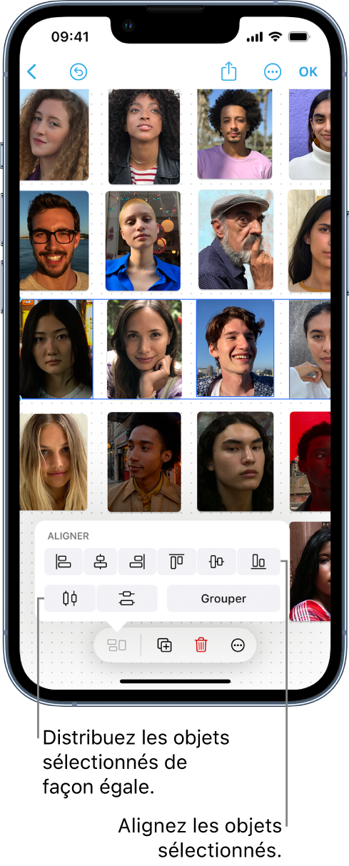 Un tableau Freeform rempli avec une grille de photos. Un des rangs de photos est sélectionné et les outils d’alignement et de groupement sont visibles.