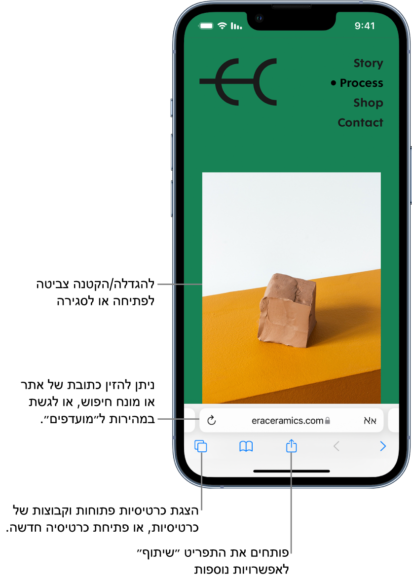 רואים אתר אינטרנט פתוח ב-Safari, עם שדה הכתובת בתחתית האתר. לאורך החלק התחתון, מימין לשמאל, נמצאים הכפתורים ״הקודם״, ״הבא״, ״סימניות״ וכרטיסיות״.