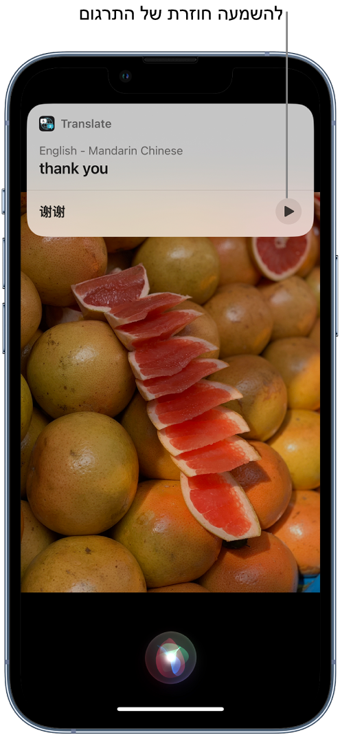 Siri‏ מציגה תרגום של הביטוי האנגלי ״thank you״ למנדרינית. בתחתית התרגום מופיע כפתור להשמעה חוזרת של התרגום.