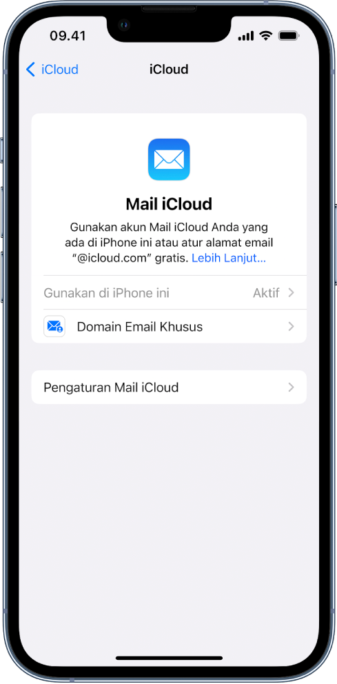 Di setengah atas layar iCloud Mail, “Gunakan di iPhone ini” dinyalakan. Di bawahnya terdapat pilihan untuk pengaturan Domain Email Khusus, dan Pengaturan iCloud Mail.