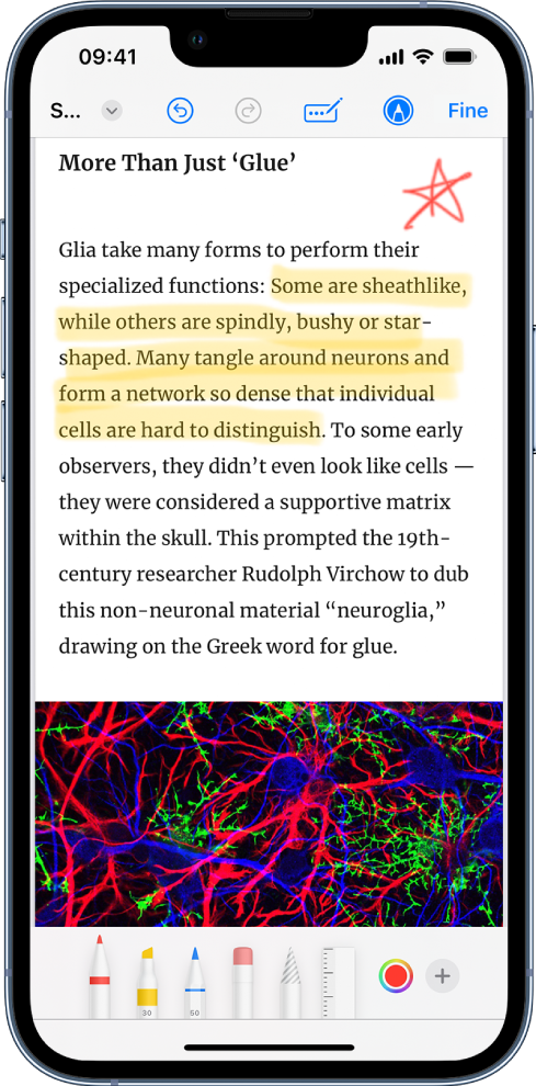 Una pagina web che viene annotata con Modifica. Sopra la pagina web, da sinistra a destra, sono visualizzati il titolo, il pulsante di menu Azioni, il pulsante Annulla, il pulsante Ripristina, il pulsante per l'inserimento automatico, il pulsante per disattivare le modifiche e il pulsante Fine. Sulla pagina web vengono mostrate sezioni evidenziate e aggiunte ai preferiti. Sotto la pagina web, da sinistra a destra, sono visualizzati i pulsanti per gli strumenti Modifica: penne da disegno, la gomma, lo strumento di selezione, i colori e il pulsante per aggiungere una casella di testo, la firma e forme, e per scegliere la lente d'ingrandimento.