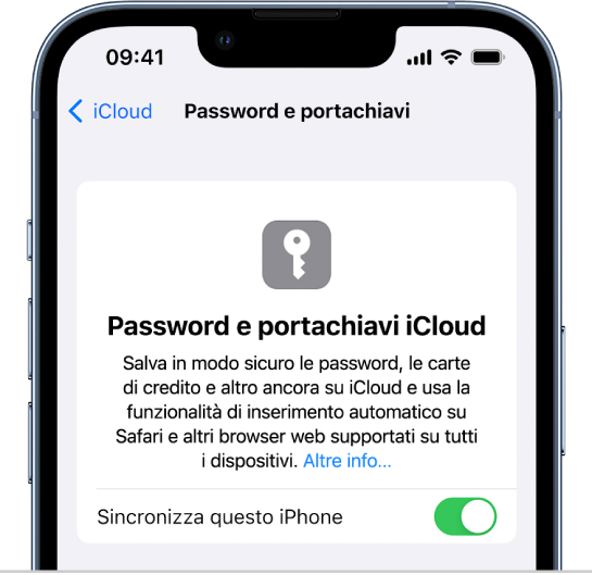 La schermata che mostra le password e il portachiavi di iCloud, con l'impostazione per effettuare la sincronizzazione con l'iPhone.