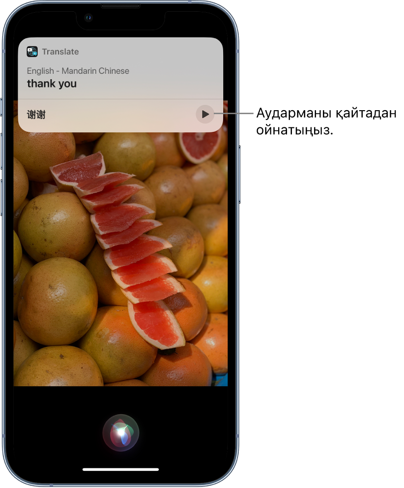 Siri көмекшісі ағылшынша «thank you» тіркесінің мандарин тіліне аудармасын көрсетеді. Аударманың төменгі жағындағы түйме аударманың дыбысын қайта ойнатады.