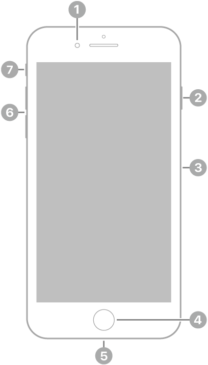 iPhone 8 Plus의 전면. 스피커 왼쪽 상단에 전면 카메라가 있음. 오른쪽에는 위에서 아래로 측면 버튼과 SIM 트레이가 있음. 하단 중앙에 홈 버튼이 있음. 하단 가장자리에 Lightning 커넥터가 있음. 왼쪽에는 아래에서 위로 음량 버튼 및 벨소리/무음 스위치가 있음.
