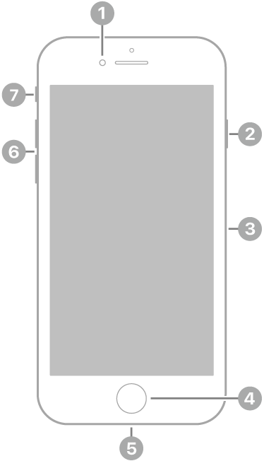 iPhone 8의 전면. 스피커 왼쪽 상단에 전면 카메라가 있음. 오른쪽에는 위에서 아래로 측면 버튼과 SIM 트레이가 있음. 하단 중앙에 홈 버튼이 있음. 하단 가장자리에 Lightning 커넥터가 있음. 왼쪽에는 아래에서 위로 음량 버튼 및 벨소리/무음 스위치가 있음.