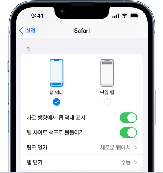 두 개의 Safari 레이아웃 옵션이 표시된 화면: 탭 막대 및 단일 탭.