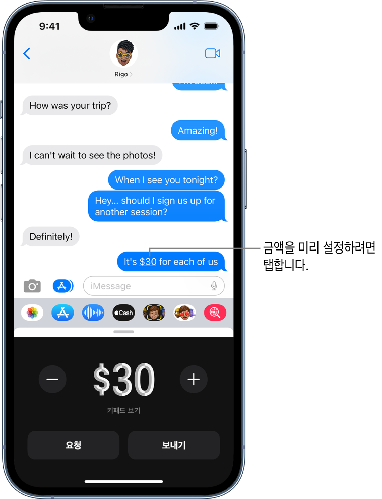 하단에 Apple Pay가 열려 있는 iMessage 대화.