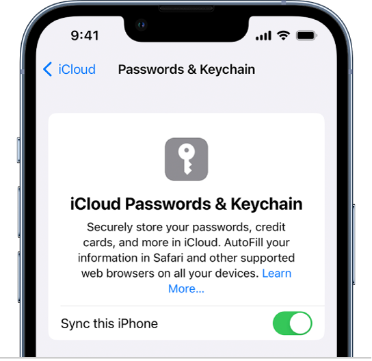 Ekranas „iCloud Passwords and Keychain“ ir nustatymas, skirtas sinchronizuoti šį „iPhone“.