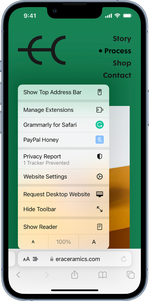 Izvēlne Page Settings. Augšdaļā ir iespēja Show Top Address Bar. Zem tās ir iespēja Manage Extensions, kam seko instalētie paplašinājumi: Honey and Grammarly lietotnei Safari.