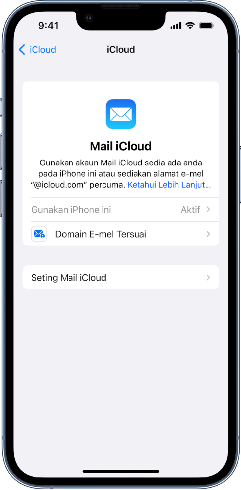 Di bahagian separuh atas skrin Mail iCloud, “Gunakan pada iPhone ini” diaktifkan. Di bawah ialah pilihan untuk seting Domain E-mel Tersuai dan Seting Mail iCloud.