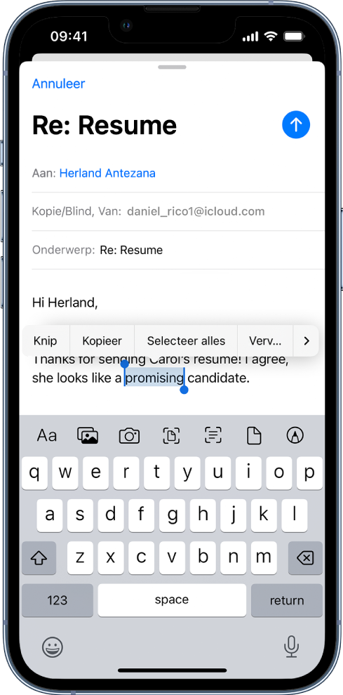 Voorbeeld van een e‑mailbericht waarin een stukje tekst is geselecteerd. Boven de geselecteerde tekst zie je knoppen voor knippen, kopiëren, plakken en vervangen. De geselecteerde tekst wordt gemarkeerd, met grepen aan beide uiteinden.