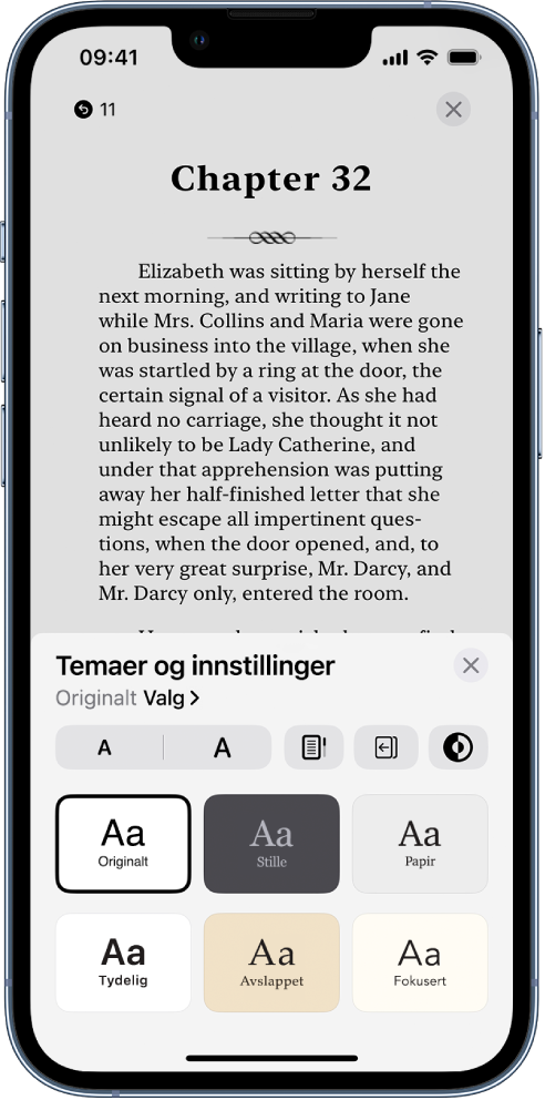 Temaer og innstillinger-valg, som viser kontroller for fontstørrelse, rullevisning, stil for å bla om, lysstyrke og fontstiler.