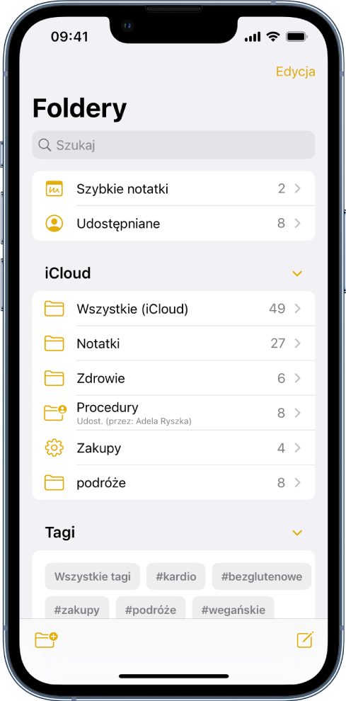 Lista folderów w aplikacji Notatki; na górze znajduje się pole wyszukiwania.