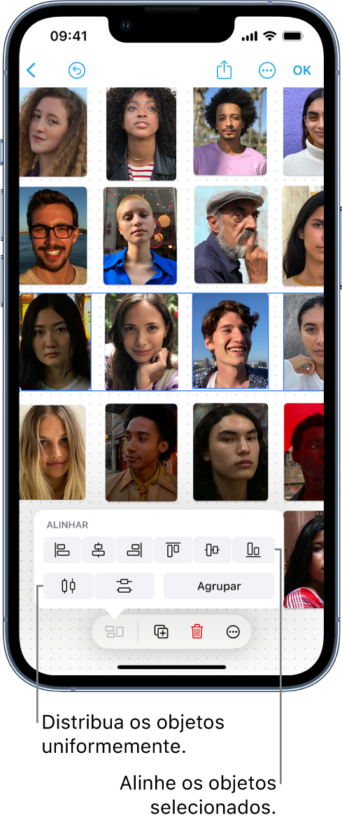 Quadro do Freeform preenchido com uma grade de fotos. Uma fileira de fotos está selecionada e as ferramentas de alinhamento e agrupamento estão visíveis.