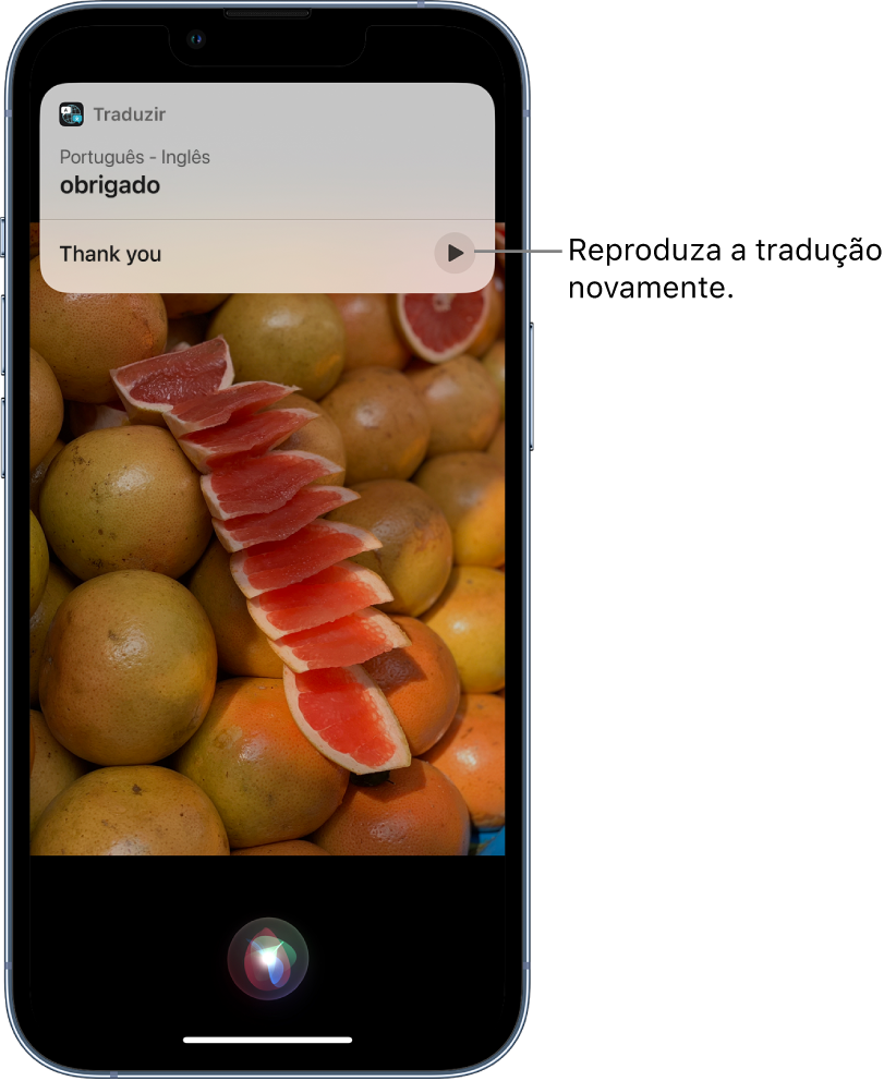 A Siri mostrando uma tradução da frase “obrigada” em português para o inglês. Um botão na parte inferior da tradução reproduz o áudio da tradução novamente.