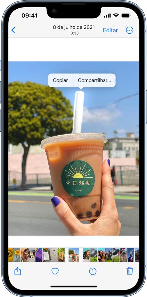 Uma foto está aberta em tela cheia. O objeto no centro da foto está contornado e os botões Copiar e Compartilhar aparecem acima do objeto contornado.