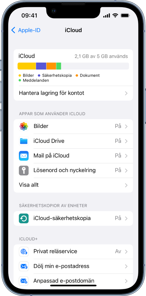 iCloud-inställningsskärmen med mätaren för lagringsutrymmet på iCloud och en lista över appar och funktioner, till exempel Bilder och Mail, som kan användas med iCloud.