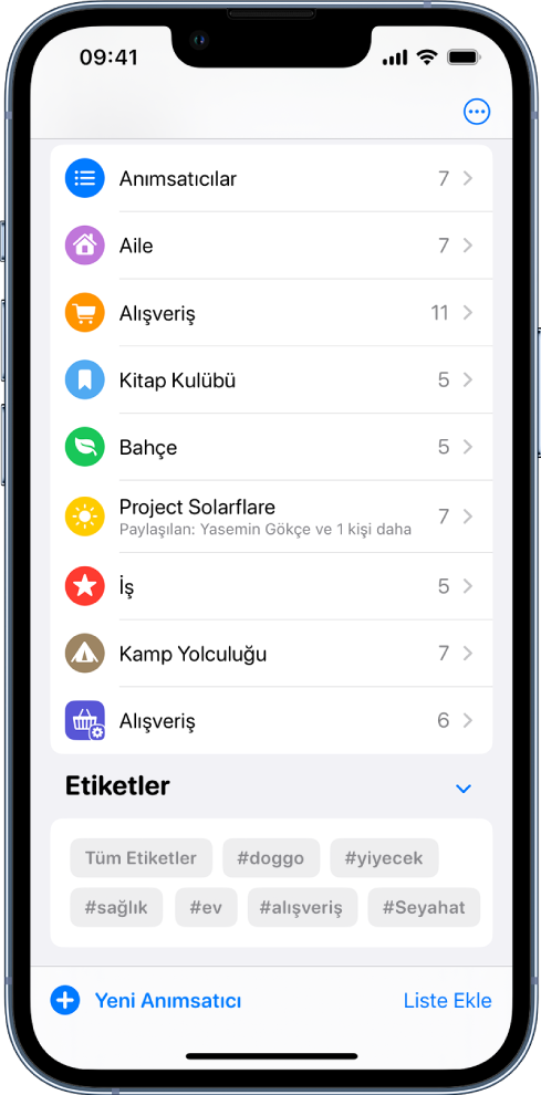 Anımsatıcılar’da birçok listenin gösterildiği bir ekran. Etiket Tarayıcı en altta.